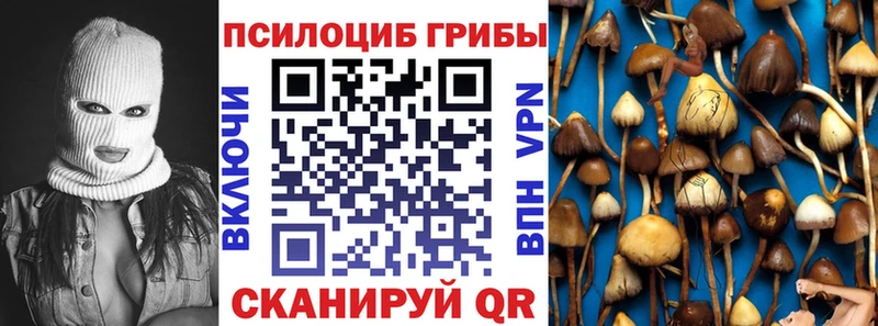 площадка Telegram  Абдулино  Галлюциногенные грибы мицелий  где продают наркотики 